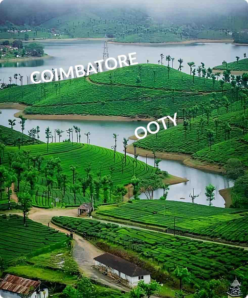 Coimbatore tea hills