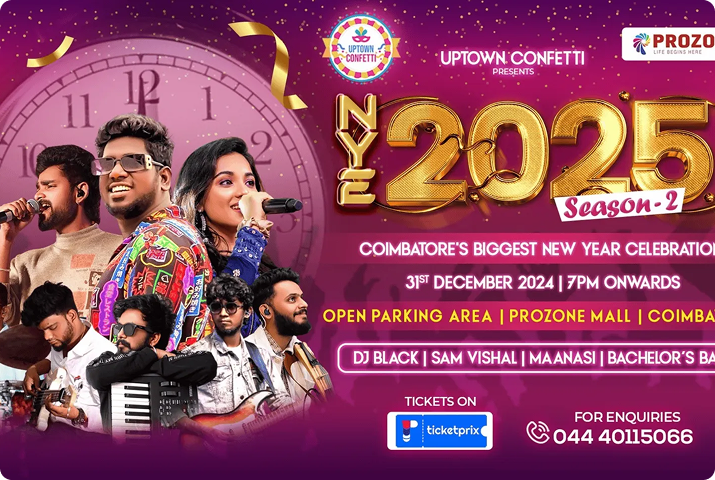 New Year Carnival 2025